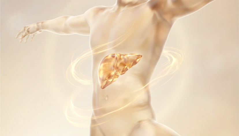Promote Metabolism*