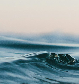 Close-up of a dark ocean wave cresting against a soft pastel sky at dusk